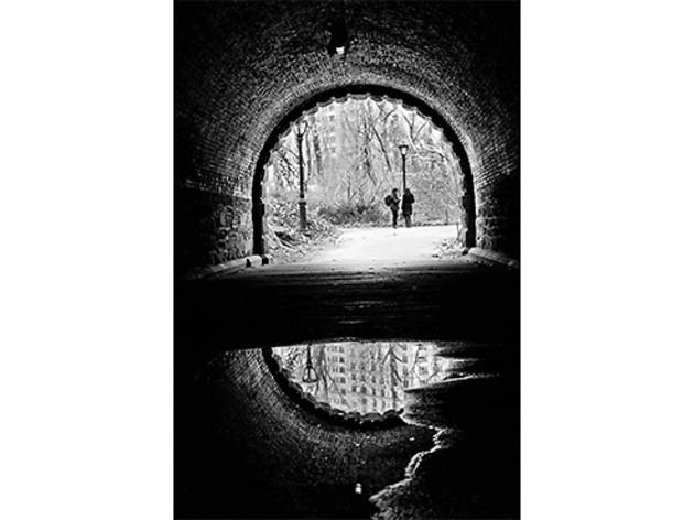 (Photograph: Marisa Cohen)