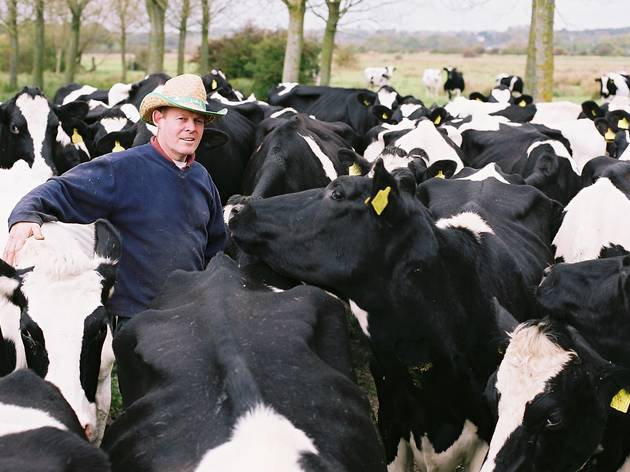 The Moo Man The Moo Man