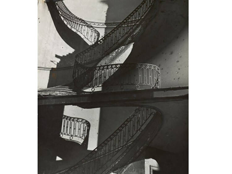 Photograph: Courtesy of the Museum of Modern Art