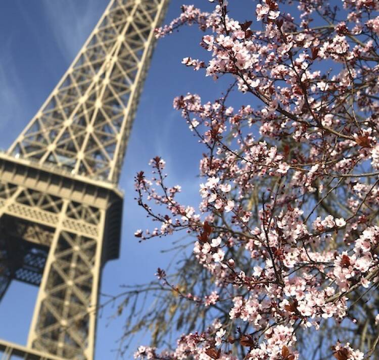 Eiffel Tower, Paris in spring