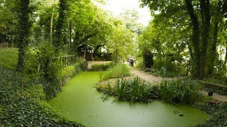 Le Jardin Sauvage Saint-Vincent