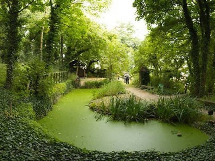 Le Jardin Sauvage Saint-Vincent