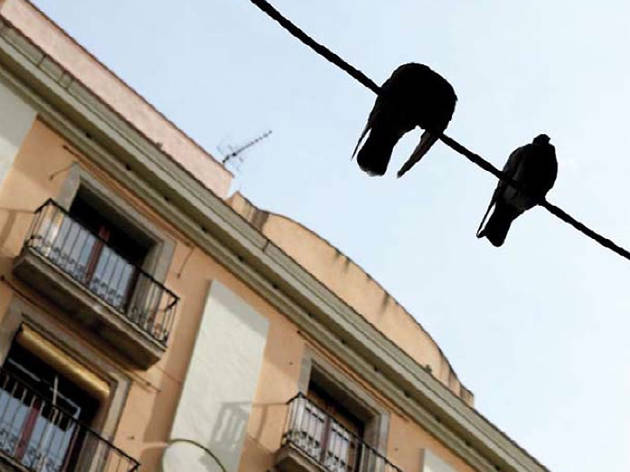 carrer Princesa carrer Princesa