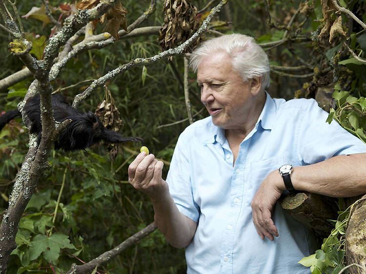 Attenborough’s Ark: a Natural World Special Attenborough’s Ark: a Natural World Special