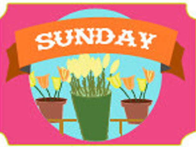 Sunday Sunday
