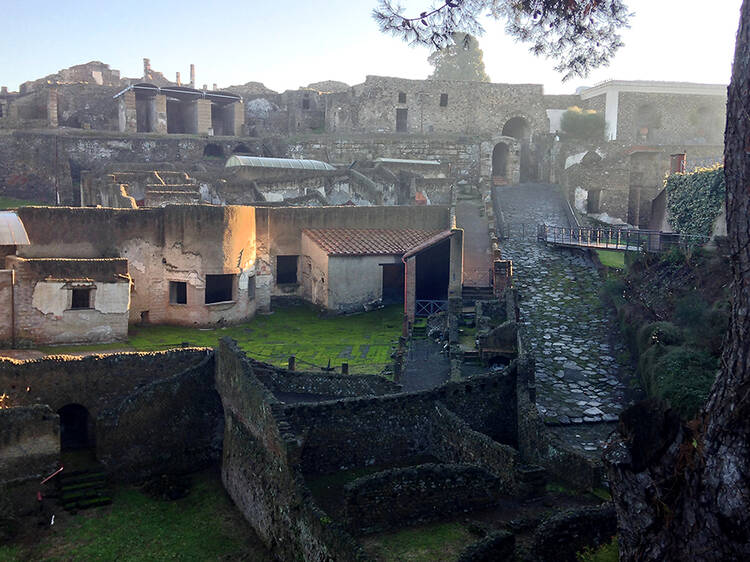 The Other Pompeii: Life and Death in Herculaneum