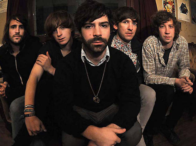 Foals Foals