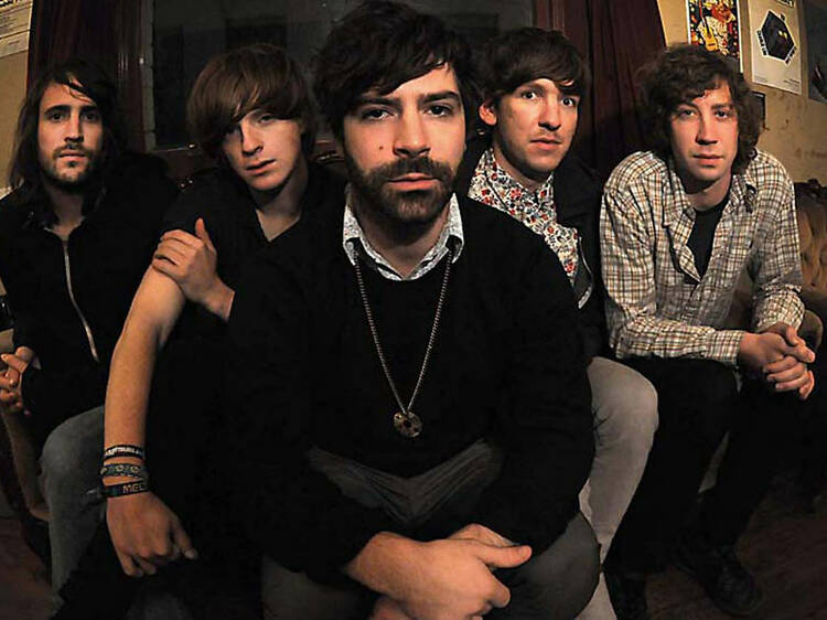 Foals Foals