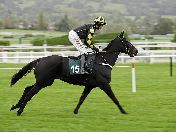 The Grand National