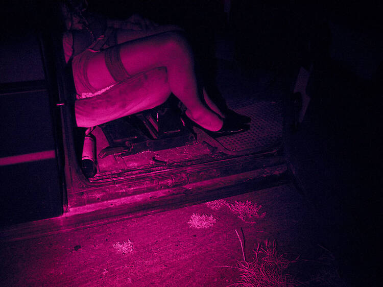 Dogging Tales