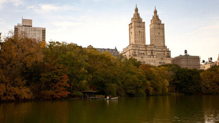 Seek out birds in Central Park