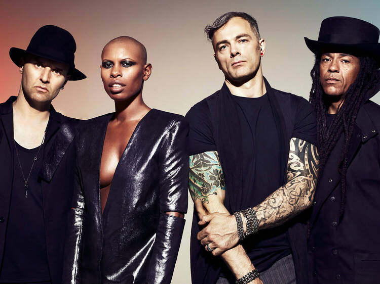 Skunk Anansie