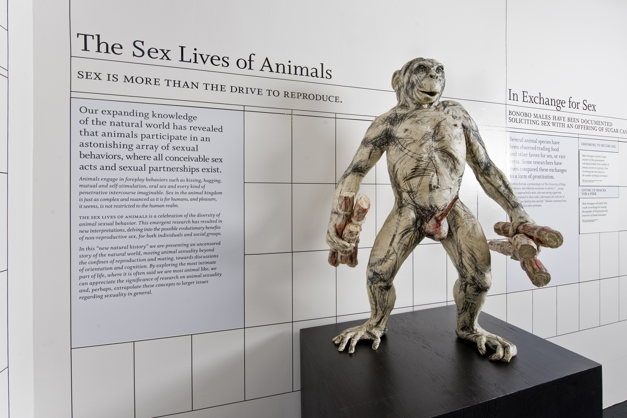 The Sex Lives of Animals