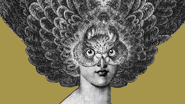 'Cecelia Huntress' (© Dan Hillier, represented by Nelly Duff)