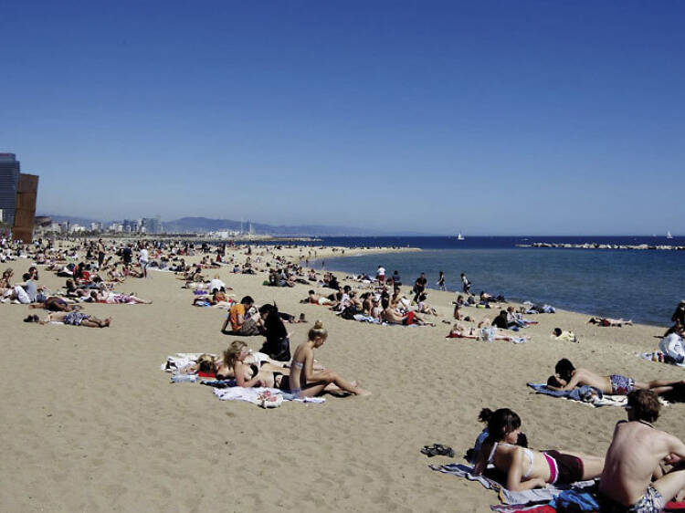 Playa de la Barceloneta