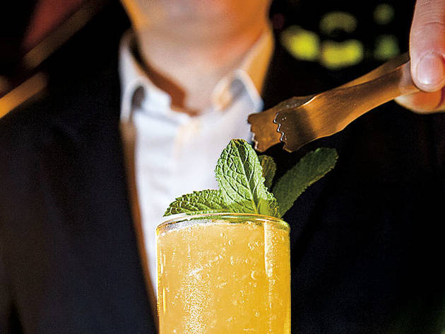 Gin Fizz Gin Fizz