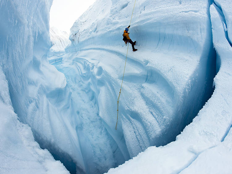 Chasing Ice