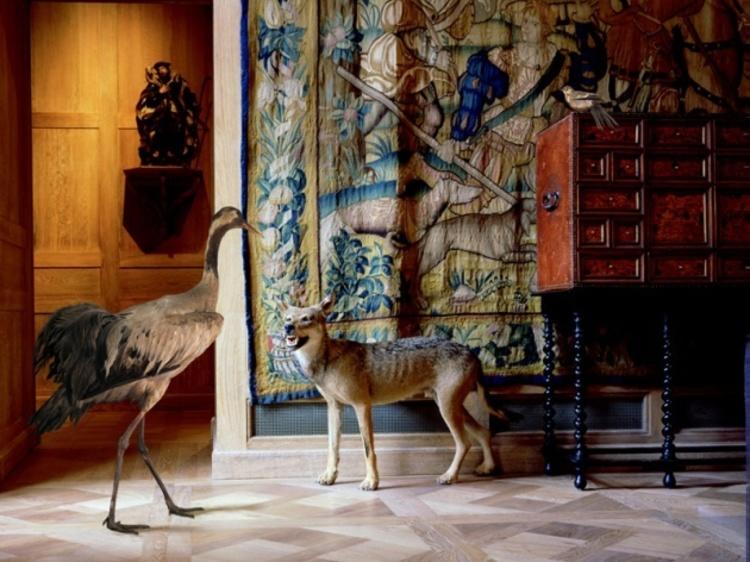 Musée de la Chasse