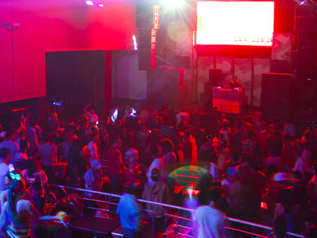 Elektrosundays Elektrosundays