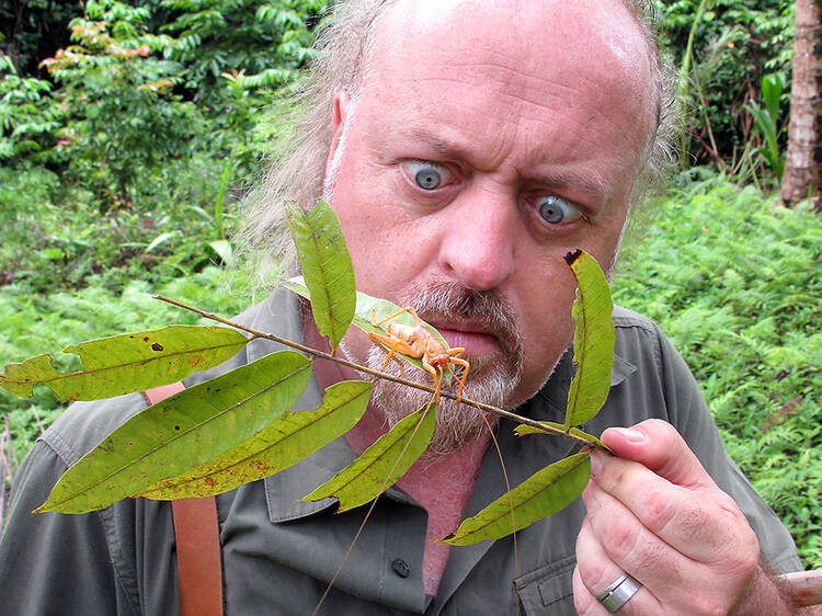 Bill Bailey’s Jungle Hero