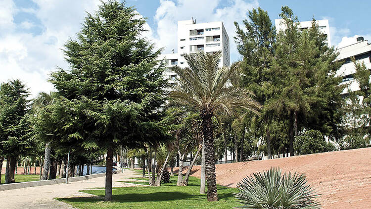 Parc Central de Nou Barris