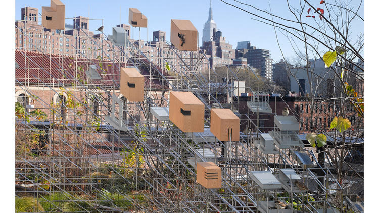 Photograph: Austin Kennedy; courtesy Friends of the High Line