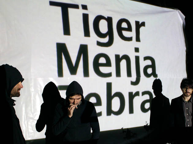 Tiger Menja Zebra Tiger Menja Zebra