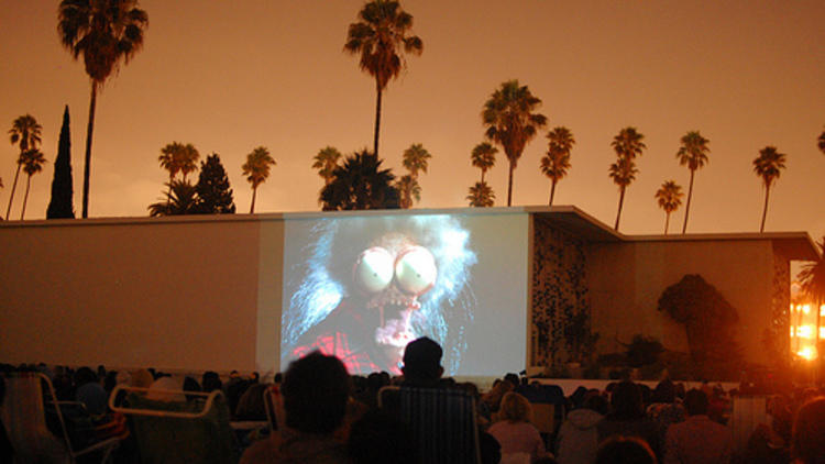 Cinespia at Hollywood Forever (Photograph: Courtesy Cinespia at Hollywood Forever Cemetery)