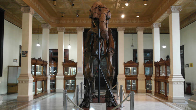 Museo de Geología (Foto: Wally Bonanza)