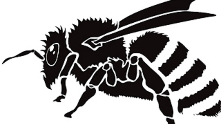 Insect attacks