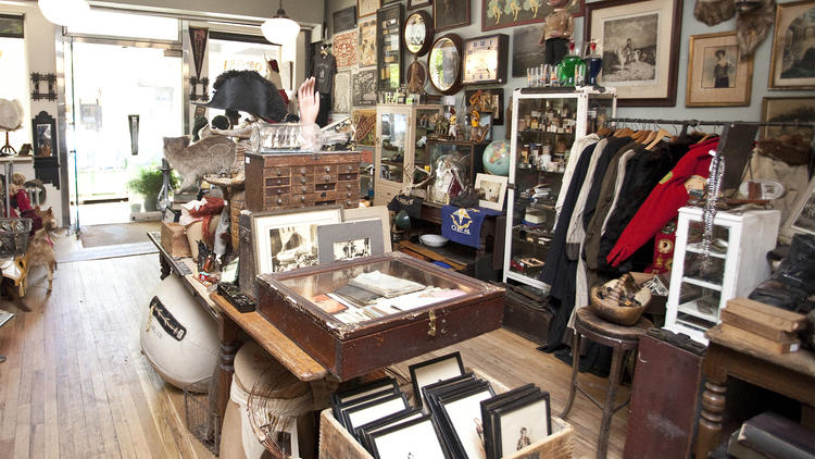 Obscura Antiques and Oddities