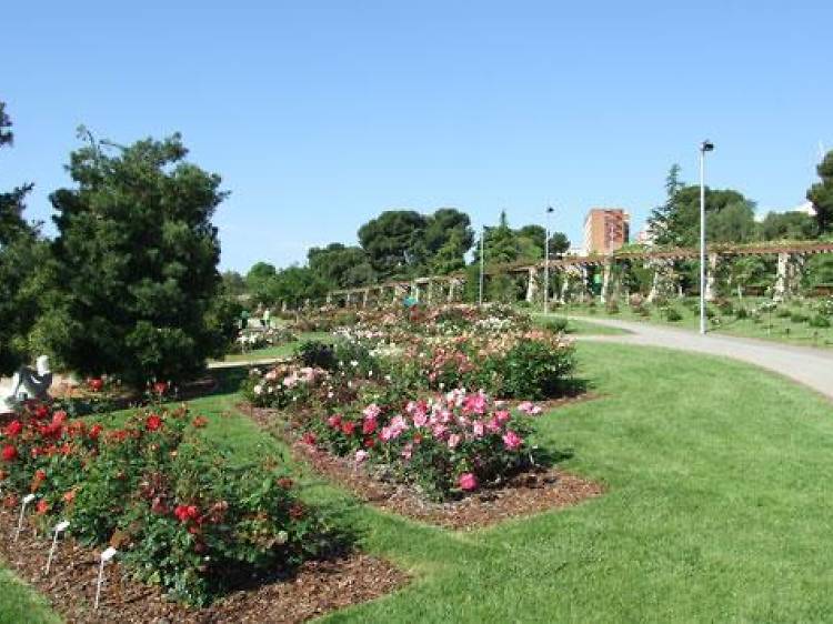 Cervantes Park