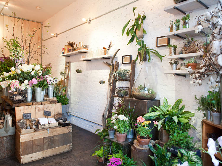 The best flower shops in NYC