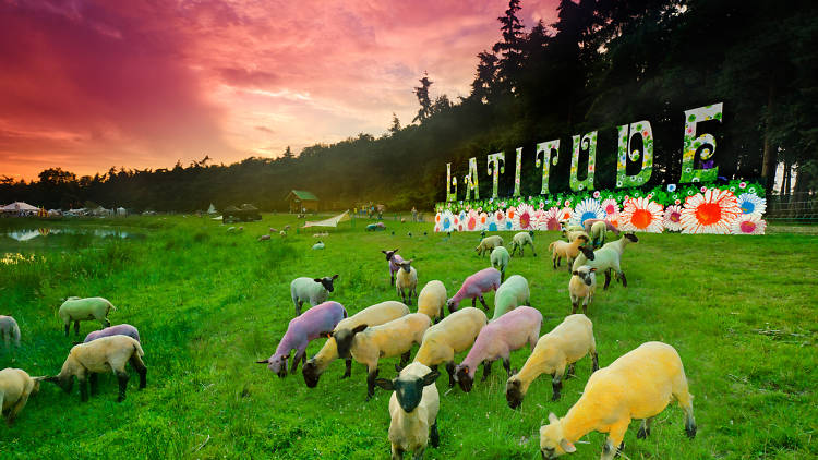 Latitude Festival