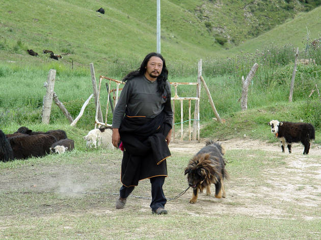 Old Dog: movie review Old Dog