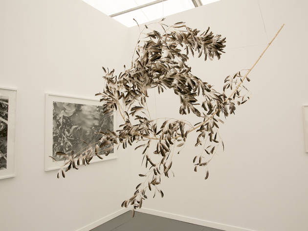 (Photograph: Caroline Voagen Nelson)