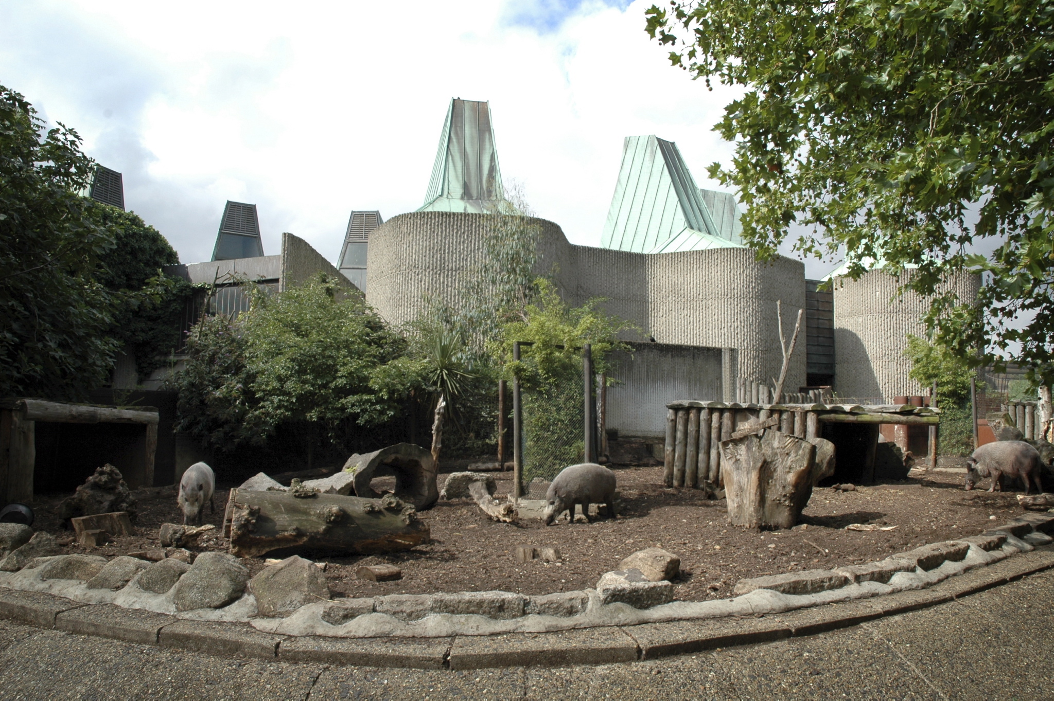 ZSL London Zoo Guide London for Visitors Time Out London