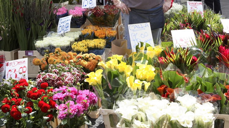 Columbia Road Flower Market: A Londoners guide to beating the queue and ...