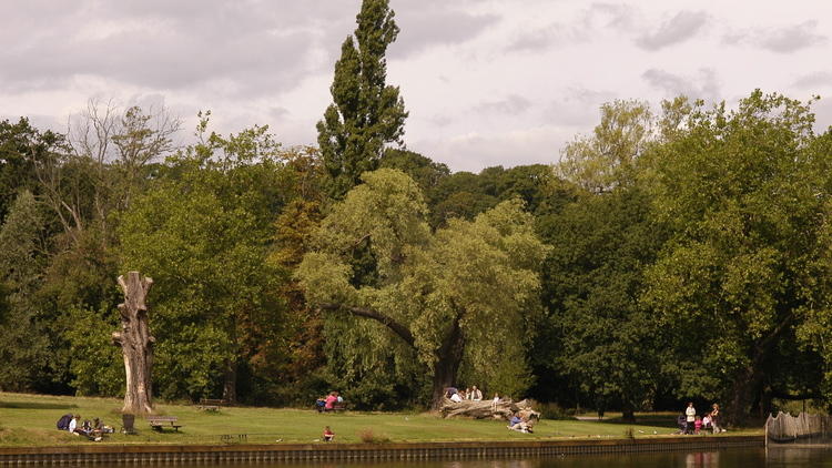 1.30pm: Hampstead Heath Swimming Ponds