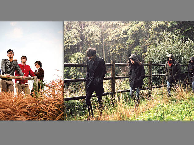 The Free Fall Band / Paus