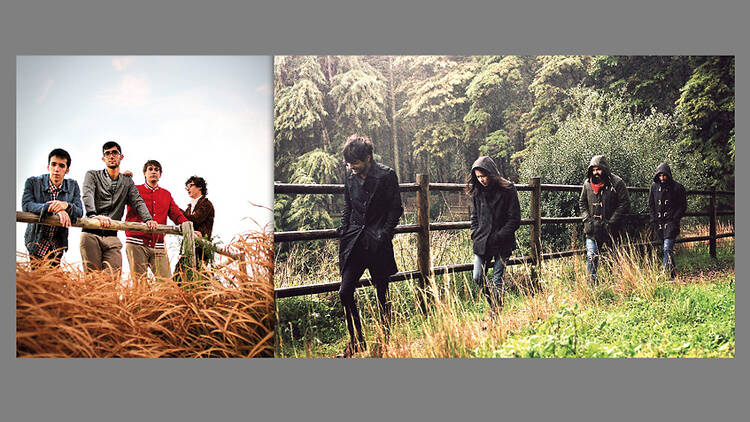 The Free Fall Band recomienda a Paus