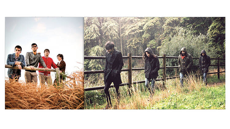 The Free Fall Band recomana Paus