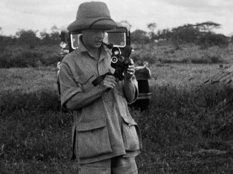 Edward VIII: the Lion King