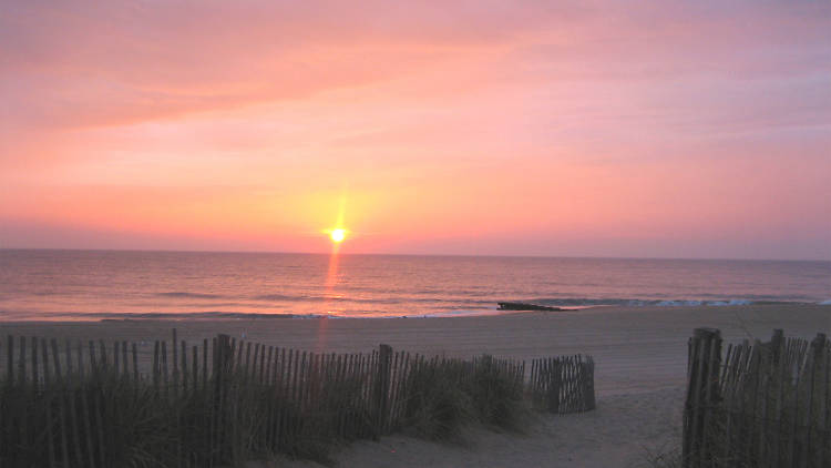 Rehoboth Beach, DE