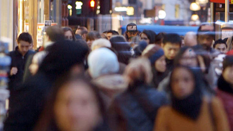 The Human Swarm The Human Swarm