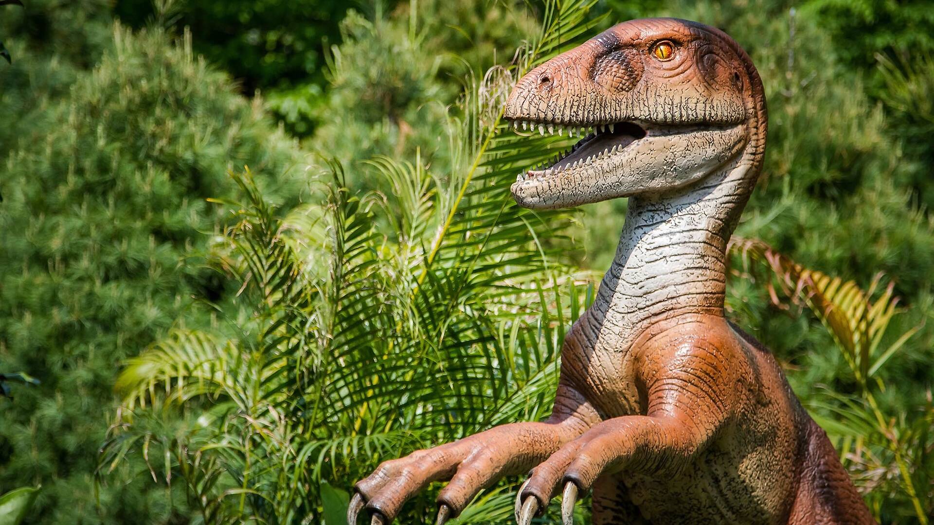 The Bronx Zoo's Dinosaur Safari has returned to NYC