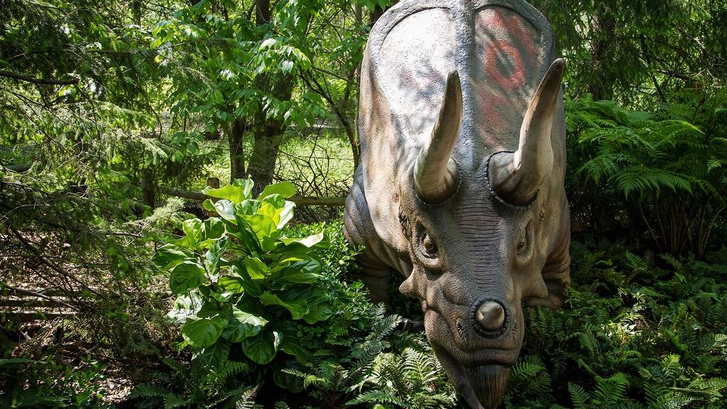 Dinosaur Safari | Things to do in New York