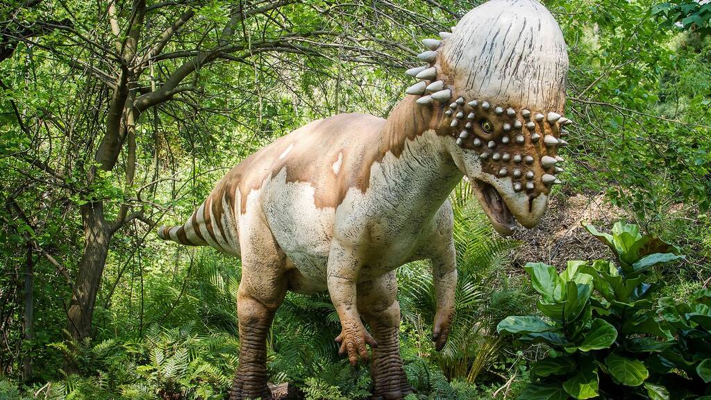 Dinosaur Safari | Things to do in New York