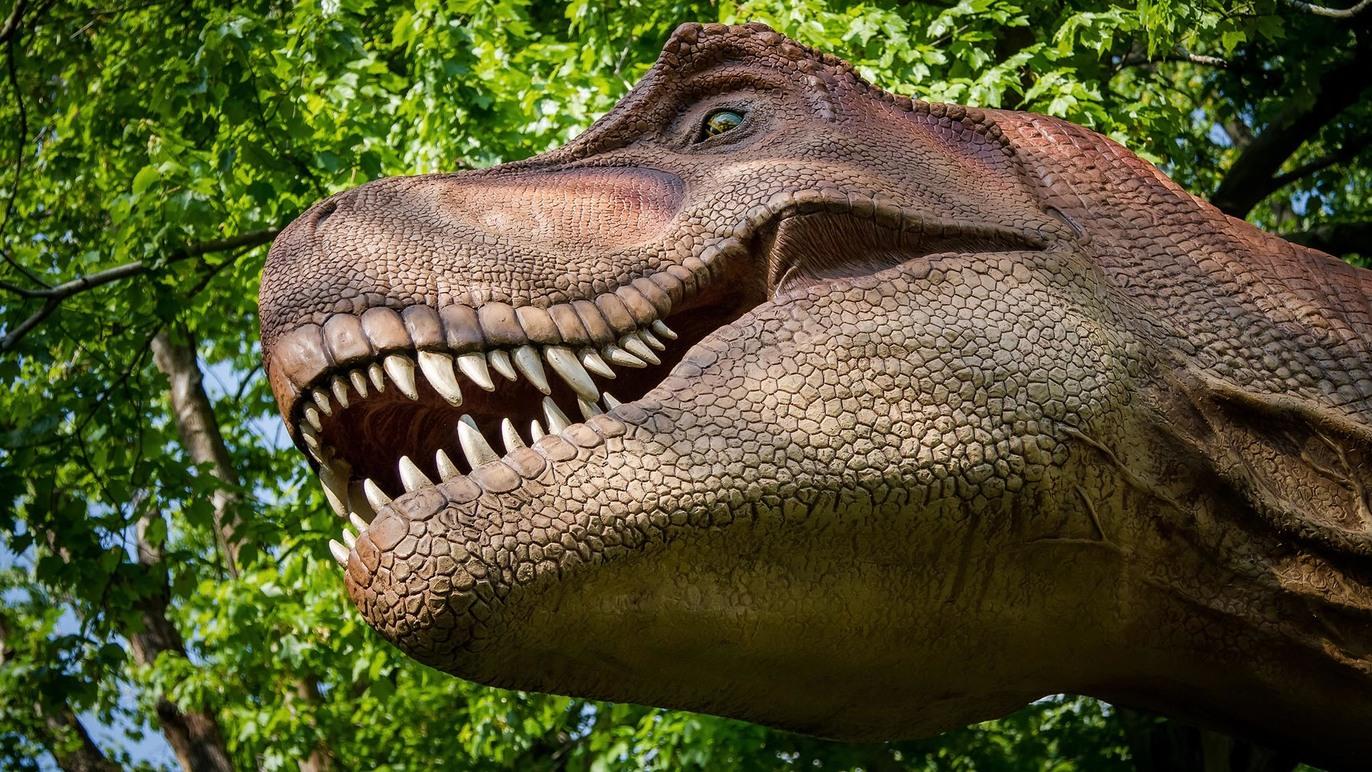 Dinosaur Safari | Things to do in New York