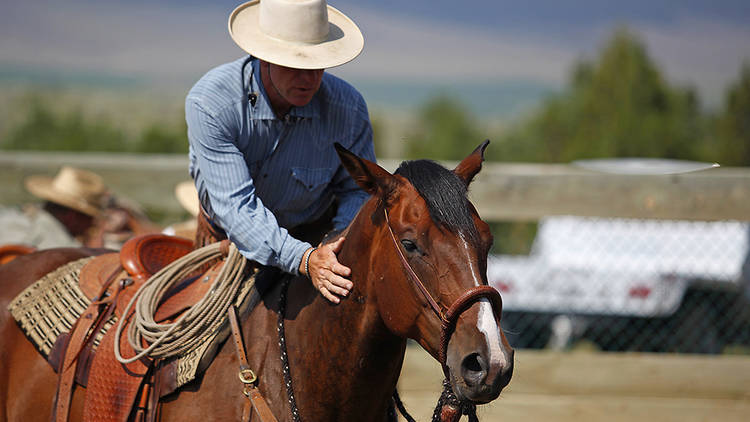 Storyville: Buck – the Real Horse Whisperer